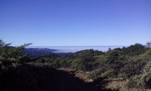 Overlooking southwest Sonoma County.